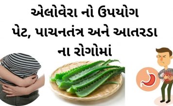 એલોવેરા નો ઉપયોગ પેટ, પાચનતંત્ર અને આતરડા ના રોગોમાં કરવાની રીત એલોવેરા નો ઉપયોગ પેટ, પાચનતંત્ર અને આતરડા ના રોગોમાં
