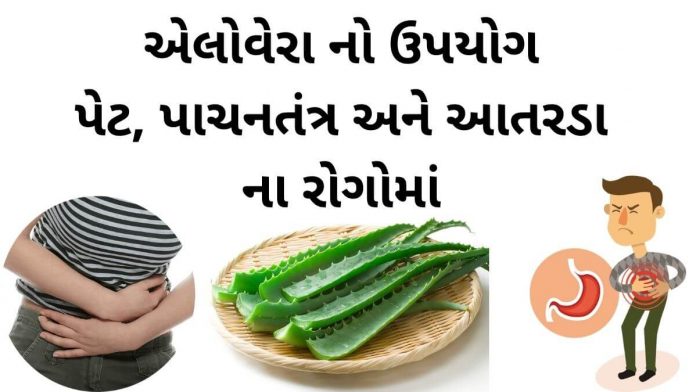 એલોવેરા નો ઉપયોગ પેટ, પાચનતંત્ર અને આતરડા ના રોગોમાં