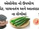 એલોવેરા નો ઉપયોગ પેટ, પાચનતંત્ર અને આતરડા ના રોગોમાં કરવાની રીત એલોવેરા નો ઉપયોગ પેટ, પાચનતંત્ર અને આતરડા ના રોગોમાં