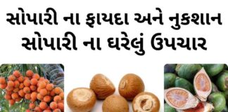 સોપારી ખાવાના ફાયદા - સોપારી ના ફાયદા - સોપારી ના નુકશાન - સોપારી ના ઘરેલું ઉપચાર - sopari na fayda - BETEL NUT benefits in Gujarati