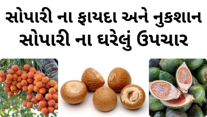 સોપારી ખાવાના ફાયદા - સોપારી ના ફાયદા - સોપારી ના નુકશાન - સોપારી ના ઘરેલું ઉપચાર - sopari na fayda - BETEL NUT benefits in Gujarati