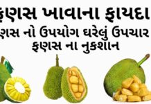 ફણસ ખાવાના ફાયદા - ફણસ ના ફાયદા - ફણસ ના નુકશાન - fanas na fayda - jackfruit benefits in Gujarati