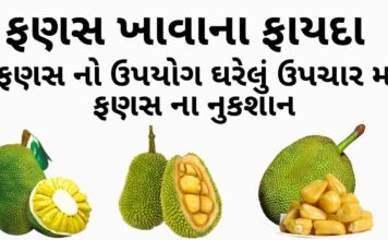 ફણસ ખાવાના ફાયદા - ફણસ ના ફાયદા - ફણસ ના નુકશાન - fanas na fayda - jackfruit benefits in Gujarati