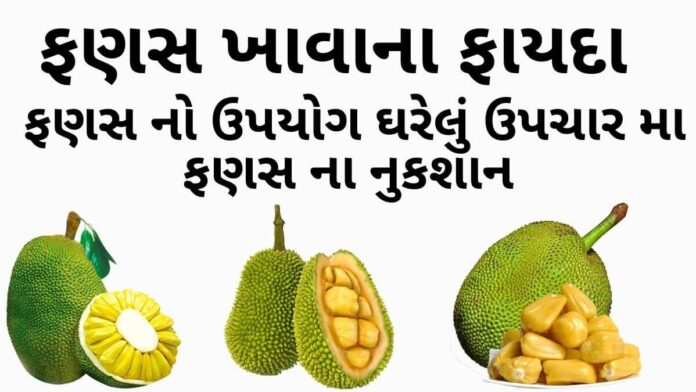 ફણસ ખાવાના ફાયદા - ફણસ ના ફાયદા - ફણસ ના નુકશાન - fanas na fayda - jackfruit benefits in Gujarati