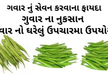 ગવાર ના ફાયદા - ગુવાર ના નુકશાન - Guvar na fayda - cluster beans benefits in Gujarati