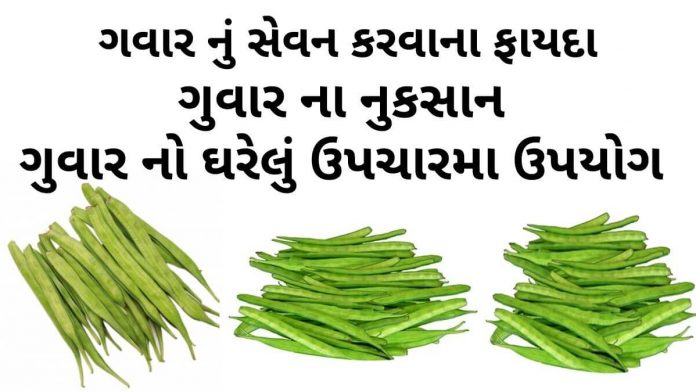 ગવાર ના ફાયદા - ગુવાર ના નુકશાન - Guvar na fayda - cluster beans benefits in Gujarati