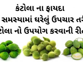 કંટોલા ના ફાયદા - કંકોડા ના ફાયદા અને ઘરેલું ઉપચાર - kantola na fayda - spiny gourd benefits in Gujarati