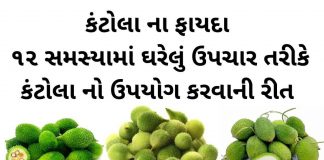 કંટોલા ના ફાયદા - કંકોડા ના ફાયદા અને ઘરેલું ઉપચાર - kantola na fayda - spiny gourd benefits in Gujarati