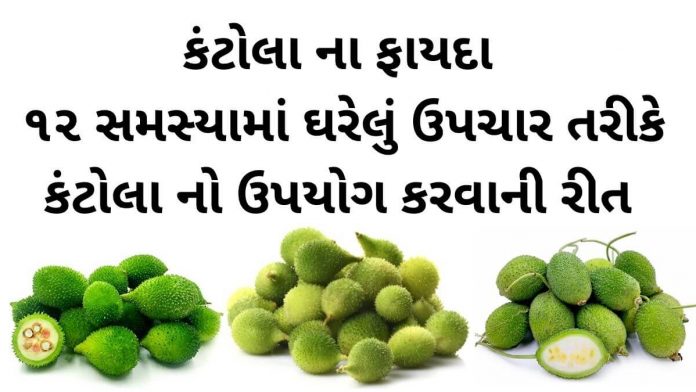 કંટોલા ના ફાયદા - કંકોડા ના ફાયદા અને ઘરેલું ઉપચાર - kantola na fayda - spiny gourd benefits in Gujarati
