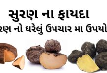 સુરણ ના ફાયદા અને ઘરેલું ઉપચાર મા ઉપયોગ | Suran na fayda | Jimikand benefits in Gujarati - ELEPHANT FOOT YAAM benefits in Gujarati