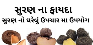 સુરણ ના ફાયદા અને ઘરેલું ઉપચાર મા ઉપયોગ | Suran na fayda | Jimikand benefits in Gujarati - ELEPHANT FOOT YAAM benefits in Gujarati