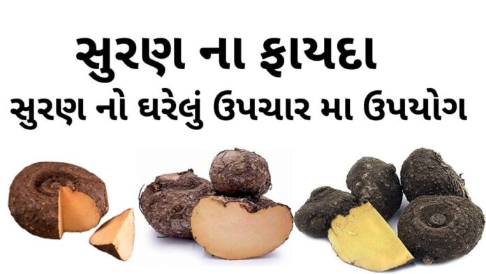 સુરણ ના ફાયદા અને ઘરેલું ઉપચાર મા ઉપયોગ | Suran na fayda | Jimikand benefits in Gujarati - ELEPHANT FOOT YAAM benefits in Gujarati