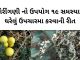 ભોરીંગણી ના ફાયદા અને ઉપયોગ | ભોયરીંગણી ના ફાયદા | Bhoringani na fayda ભોરીંગણી - ભોરીંગણી ના ફાયદા - ભોયરીંગણી ના ફાયદા - Bhoringani na fayda - Thorny nightshade benefits in Gujarati - ભોરીંગણી નો ઉપયોગ - ભોયરીંગણી નો ઉપયોગ