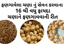 ફણગાવેલા ચણા ના ફાયદા - ફણગાવેલા ચણા બનાવવાની રીત - Fangavela chana na fayda