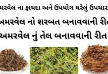 અમરવેલ ના ફાયદા - અમરવેલ નો ઉપયોગ - અમરવેલ નો શરબત બનાવવાની રીત - અમરવેલ નું તેલ બનાવવાની રીત - amar vel na faida - amar vel na fayda in Gujarati - amarvel no upyog