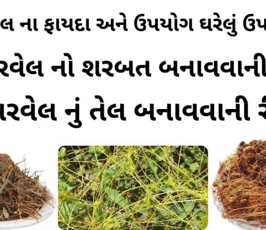 અમરવેલ ના ફાયદા - અમરવેલ નો ઉપયોગ - અમરવેલ નો શરબત બનાવવાની રીત - અમરવેલ નું તેલ બનાવવાની રીત - amar vel na faida - amar vel na fayda in Gujarati - amarvel no upyog