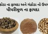 ગંઠોડા ના ફાયદા | ગંઠોડા નો ઉપયોગ | પીપરીમૂળ ના ફાયદા | Ganthoda na fayda ગંઠોડા ના ફાયદા - પીપરીમૂળ ના ફાયદા - ગંઠોડા નો ઉપયોગ - Piper Root benefits in Gujarati - ganthoda na fayda