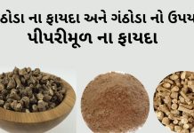 ગંઠોડા ના ફાયદા - પીપરીમૂળ ના ફાયદા - ગંઠોડા નો ઉપયોગ - Piper Root benefits in Gujarati - ganthoda na fayda