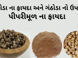 ગંઠોડા ના ફાયદા - પીપરીમૂળ ના ફાયદા - ગંઠોડા નો ઉપયોગ - Piper Root benefits in Gujarati - ganthoda na fayda