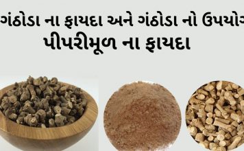 ગંઠોડા ના ફાયદા | ગંઠોડા નો ઉપયોગ | પીપરીમૂળ ના ફાયદા | Ganthoda na fayda ગંઠોડા ના ફાયદા - પીપરીમૂળ ના ફાયદા - ગંઠોડા નો ઉપયોગ - Piper Root benefits in Gujarati - ganthoda na fayda