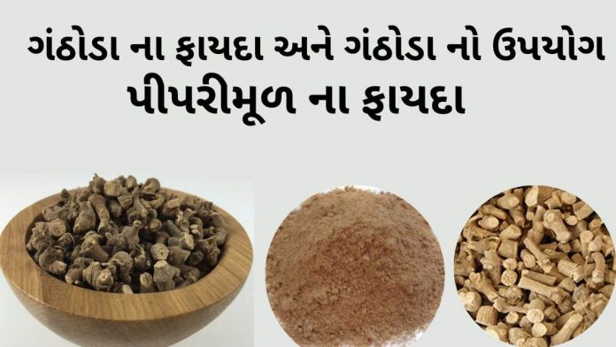 ગંઠોડા ના ફાયદા - પીપરીમૂળ ના ફાયદા - ગંઠોડા નો ઉપયોગ - Piper Root benefits in Gujarati - ganthoda na fayda