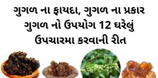 ગુગળ ના ફાયદા - ગુગળ ના પ્રકાર - ગુગળ નો ઉપયોગ ઘરેલું ઉપચારમા - guggal na fayda in gujarati - guggal no upyog