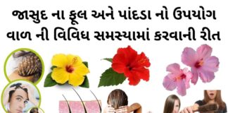 જાસુદ ના ફૂલ ના ફાયદા વાળ માટે - જાસુદ ના ફૂલ અને પાંદડા નો ઉપયોગ – જાસુદ ના ફૂલ નો ઉપયોગ - jasud na phool na fayda
