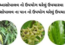 આસોપાલવ ની માહિતી - આસોપાલવ ના પાન નો ઉપયોગ - આસોપાલવ ના ફાયદા - આસોપાલવ નો ઉપયોગ ઘરેલું ઉપચારમા - asopalav na fayda in gujarati - ashoka tree benefits in gujarati