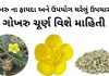 ગોખરુ ના ફાયદા - ગોખરુ નો ઉપયોગ - gokhru na fayda - bindii benefits in gujarati