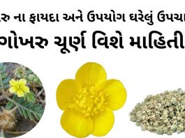 ગોખરુ ના ફાયદા - ગોખરુ નો ઉપયોગ - gokhru na fayda - bindii benefits in gujarati