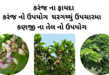 કરંજ ના ફાયદા | કરંજ નો ઉપયોગ | કરંજ તેલ ના ફાયદા | karanj na fayda કરંજ ના ફાયદા - કરંજ નો ઉપયોગ - કરંજ તેલ ના ફાયદા - કણજીનું તેલ નો ઉપયોગ - karanj na fayda - Karanj Tree details in gujarati