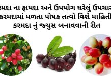 કરમદા ના ફાયદા | કરમદા નો ઉપયોગ ઘરેલું ઉપચારમા | Karmada na fayda કરમદા ના ફાયદા - કરમદા નો ઉપયોગ - Karmada na fayda - Carissa carandas benefits in Gujarati