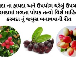 કરમદા ના ફાયદા - કરમદા નો ઉપયોગ - Karmada na fayda - Carissa carandas benefits in Gujarati