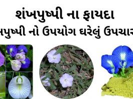શંખપુષ્પી ના ફાયદા - શંખપુષ્પી નો ઉપયોગ ઘરેલું ઉપચારમા - shankhpushpi na fayda - shankhpushpi no upyog