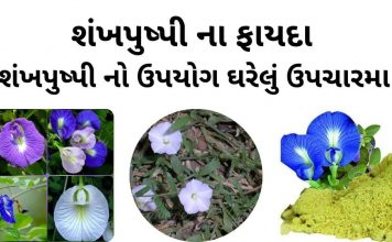 શંખપુષ્પી ના ફાયદા - શંખપુષ્પી નો ઉપયોગ ઘરેલું ઉપચારમા - shankhpushpi na fayda - shankhpushpi no upyog