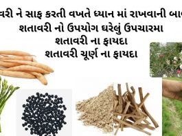 શતાવરી ના ફાયદા - શતાવરી ઔષધી નો ઉપયોગ - શતાવરી ચૂર્ણ ના ફાયદા - શતાવરી નો ઉપયોગ - shatavari na fayda - shatavari na faida in gujarati - shatavari no upyog gujarati ma