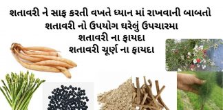 શતાવરી ના ફાયદા - શતાવરી ઔષધી નો ઉપયોગ - શતાવરી ચૂર્ણ ના ફાયદા - શતાવરી નો ઉપયોગ - shatavari na fayda - shatavari na faida in gujarati - shatavari no upyog gujarati ma