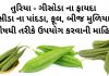 તુરીયા ના ફાયદા - ગીસોડા ના ફાયદા - turiya na fayda in gujarati - RIDGE GOURD benefits in gujarati - CHINEESE OKRA benefits in gujarati - gisoda na fayda