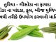 તુરીયા ના ફાયદા | ગીસોડા ના ફાયદા | turiya na fayda in gujarati તુરીયા ના ફાયદા - ગીસોડા ના ફાયદા - turiya na fayda in gujarati - RIDGE GOURD benefits in gujarati - CHINEESE OKRA benefits in gujarati - gisoda na fayda