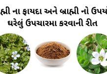 બ્રાહ્મી ના ફાયદા - બ્રાહ્મી નો ઉપયોગ ઉપચારમા - બ્રાહ્મી વનસ્પતિ- brahmi na fayda upyog gujarati ma - brahmi no upyog gujarati ma
