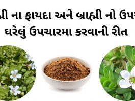 બ્રાહ્મી ના ફાયદા - બ્રાહ્મી નો ઉપયોગ ઉપચારમા - બ્રાહ્મી વનસ્પતિ- brahmi na fayda upyog gujarati ma - brahmi no upyog gujarati ma