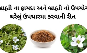 બ્રાહ્મી ના ફાયદા અને બ્રાહ્મી નો ઉપયોગ ઉપચારમા | Brahmi na fayda upyog બ્રાહ્મી ના ફાયદા - બ્રાહ્મી નો ઉપયોગ ઉપચારમા - બ્રાહ્મી વનસ્પતિ- brahmi na fayda upyog gujarati ma - brahmi no upyog gujarati ma