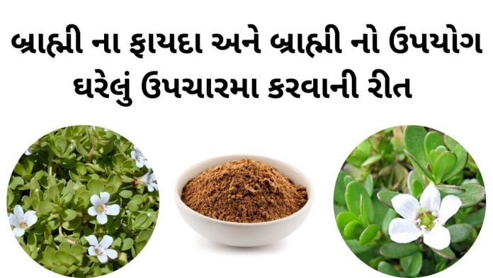 બ્રાહ્મી ના ફાયદા - બ્રાહ્મી નો ઉપયોગ ઉપચારમા - બ્રાહ્મી વનસ્પતિ- brahmi na fayda upyog gujarati ma - brahmi no upyog gujarati ma