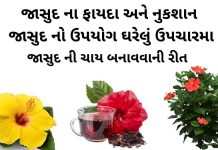 જાસુદ ના ફાયદા - જાસુદ નો ઉપયોગ - jasud na fayda - jasud no upyog
