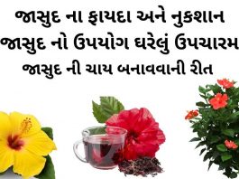 જાસુદ ના ફાયદા - જાસુદ નો ઉપયોગ - jasud na fayda - jasud no upyog