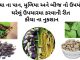 કૌચા નો ઉપયોગ - કૌચા બીજ નો ઉપયોગ - કવચ નો ઉપયોગ - કવચ ના બીજ નો ઉપયોગ - kaunch na mudiya no upyog - kaunch na fayda - kaunch churna benefits in gujarati