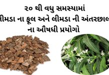 લીમડા ના ફૂલ નો ઉપયોગ | લીમડા ની છાલ નો ઉપયોગ | limda ni chal no upyog લીમડા ના ફૂલ નો ઉપયોગ - લીમડા ની છાલ નો ઉપયોગ - limda na phool no upyog gujarati ma, limda ni chal no upyog gujarati ma