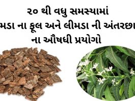 લીમડા ના ફૂલ નો ઉપયોગ - લીમડા ની છાલ નો ઉપયોગ - limda na phool no upyog gujarati ma, limda ni chal no upyog gujarati ma