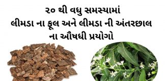 લીમડા ના ફૂલ નો ઉપયોગ | લીમડા ની છાલ નો ઉપયોગ | limda ni chal no upyog લીમડા ના ફૂલ નો ઉપયોગ - લીમડા ની છાલ નો ઉપયોગ - limda na phool no upyog gujarati ma, limda ni chal no upyog gujarati ma