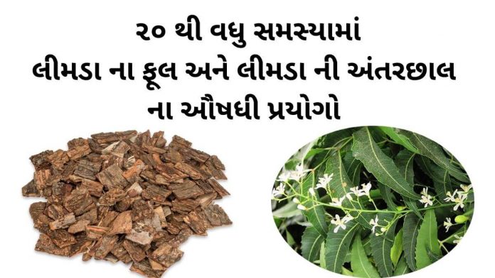 લીમડા ના ફૂલ નો ઉપયોગ - લીમડા ની છાલ નો ઉપયોગ - limda na phool no upyog gujarati ma, limda ni chal no upyog gujarati ma